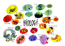 LES PRIVAT BIOLOGI SMP CINERE | CILANDAK